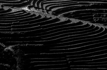 Curves And Lines Of Sapa Landscapes
