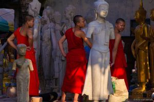 The Monks And The Buddhas